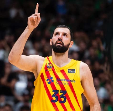 nikola mirotic bio